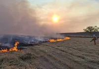 Após 13 dias, incêndio é controlado em Muquém do São Francisco