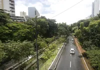 Árvore cai no Vale do Canela, em Salvador, e bloqueia trânsito