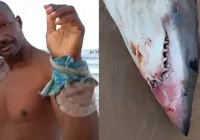 Ataque de tubarão contra pescador na Bahia é descartado; entenda