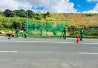Avenidas de Salvador recebem serviços de capina e limpeza