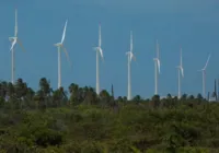 Bahia: um polo de eletromobilidade e energia verde