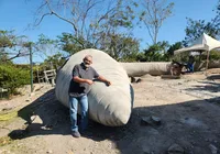 Baiano constrói minhoca gigante interativa para estudantes na Chapada