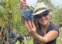 Bistrot Trapiche Adega promove jantar com vinhos da Bodega Garzon