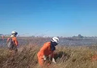 Bombeiros atuam no combate a incêndio florestal no oeste do estado