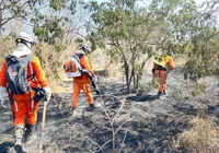 Bombeiros extinguem incêndios florestais em três cidades na Bahia