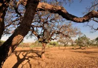 Brasil será afetado por mudança brusca de temperatura na Antártida imagem