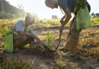 Câmara aprova proposta que amplia crédito para agricultura familiar