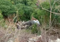 Adolescente morre após tragégida em estrada baiana