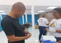 Campanha de vacina antirrábica é realizada gratuitamente em Salvador