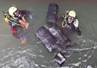 Carga de cocaína é apreendida em navio mercante no porto de Santos