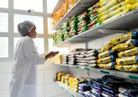 Cecane-Ufba destaca desempenho de Camaçari na gestão da oferta da alimentação escolar
