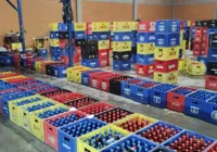 Polícia desvenda esquema de cerveja adulterada; aprenda a identificar