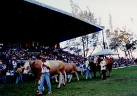 Eventos como a Fenagro são vitrines da produção rural