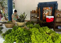 Feira na Horta celebra 10 anos com mercado ecológico e multicultural em Itapuã