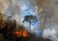 Fumaça de queimadas na Amazônia chega a 10 estados