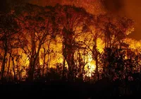 Gás sem cheiro e letal se espalha em meio às queimadas no Brasil