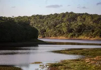 Governo contrata empresa responsável pela requalificação do Parque Pituaçu imagem