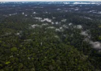 Governo dos EUA doa mais de R$ 270 milhões para o Fundo Amazônia