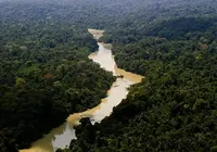 Governo entra com primeira ação por danos climáticos contra a Amazônia