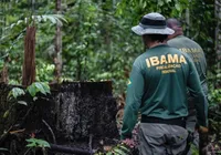 IBAMA e ICMBio vão oferecer 810 vagas em novos concursos