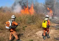 Incêndio na BA-160 em Bom Jesus da Lapa é monitorado pelos Bombeiros