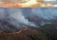 Incêndio queima 10 mil hectares do Parque da Chapada dos Veadeiros