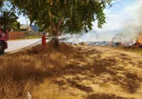 Incêndios florestais atingem interior da Bahia; saiba detalhes