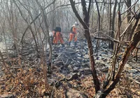 Incêndios florestais: bombeiros encaram missão humanitária na Bahia