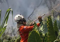 Incêndios florestais chegam a 422 ocorrências na Bahia