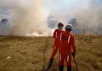 Incêndios florestais crescem 8% na Bahia