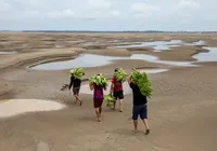 Incêndios podem acelerar savanização da Amazônia, alerta Carlos Nobre