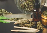 Maconha gourmet: conheça a nova moda entre os usuários da erva