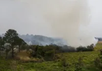 Mais de 80% dos focos de calor em SP estão em áreas de agropecuária