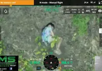 Menina sonâmbula é encontrada por drones em floresta