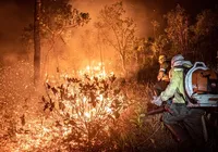 Monitoramento mostra que 99% dos incêndios são por ação humana