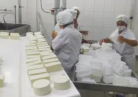 Novo selo favorece mercado queijeiro