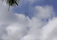 O perigo da arraia