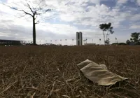 Oeste da Bahia têm alerta de grande perigo para baixa umidade