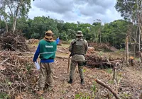 Operação combate desmatamento ilegal da Mata Atlântica na Bahia