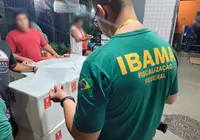 Concurso do Ibama oferece 460 vagas, com salário inicial de R$ 9.994 imagem