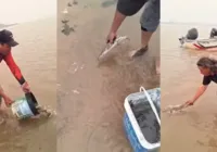 Pescadores resgatam 300 peixes em lamaçal no Rio Paraguai