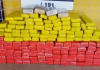 Quase 100 kg de maconha e cocaína são encontrados em ônibus na Bahia
