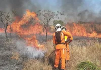 Quase 60 municípios foram atingidos por incêndios na Bahia em 2024