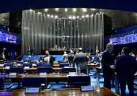 Senado aprova PEC que perdoa multas e cotas raciais de partidos imagem