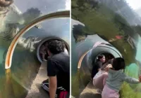 VÍDEO: Crocodilo gigante tenta atacar crianças em túnel de zoológico