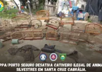 Vídeo: Cipa desarticula cativeiro ilegal de animais silvestres