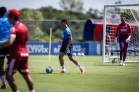 Bahia inicia preparação para pegar o Botafogo pela Copa do Brasil - Imagem