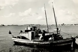 Coleções de A TARDE contam as histórias da resistência dos saveiristas - Imagem