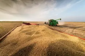 Fórum internacional debate o papel do agro na segurança alimentar - Imagem