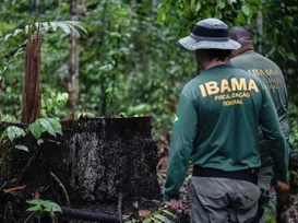 Concurso do Ibama: resultados de provas são divulgados - Imagem
